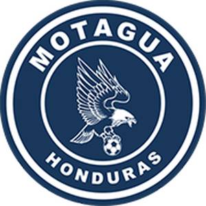 摩塔瓜